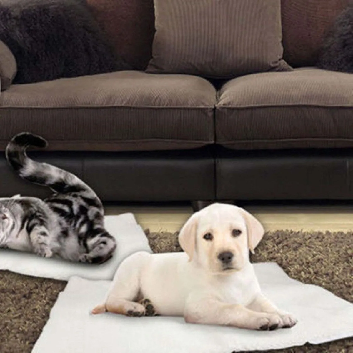 Cachorro de labrador y gato atigrado tumbados sobre una manta autocalentable