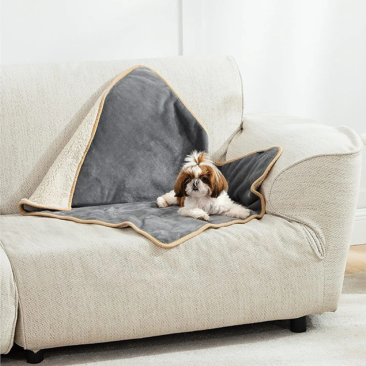 Perro pequeño tumbado sobre una manta impermeable gris encima de un sofá claro