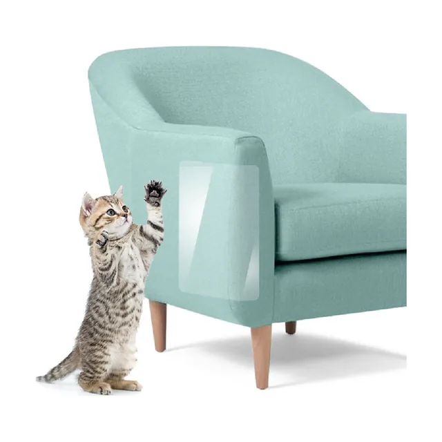 Gatito arañando un sillón protegido con una lámina transparente
